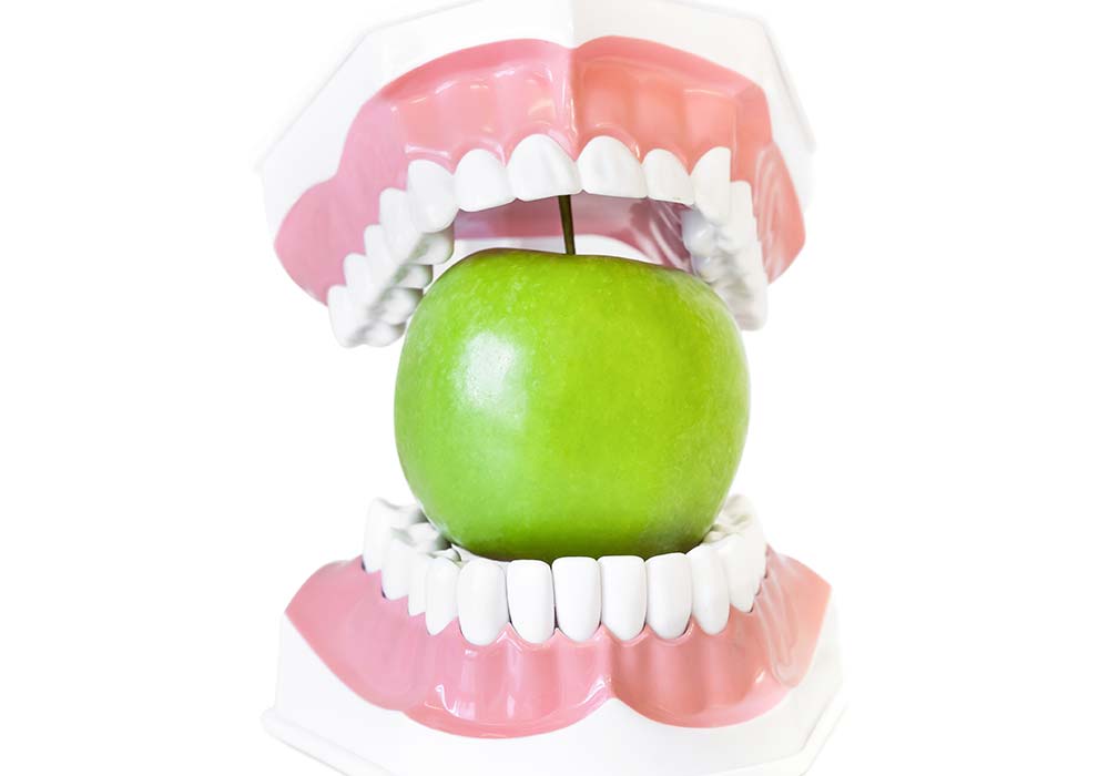 入れ歯が必要な理由