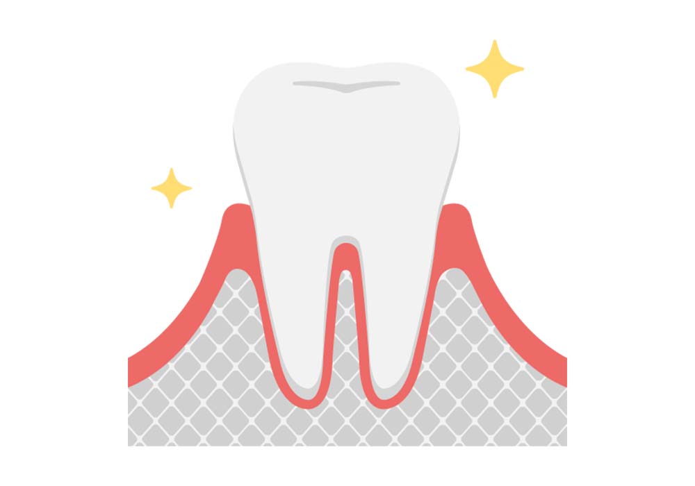 健康な歯ぐき